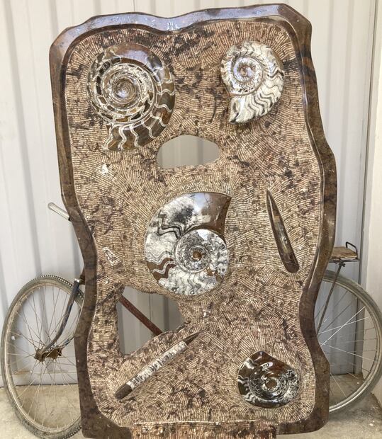 Ammonites y Orthoceras, cefalópodos fósiles. Marruecos. O. Vidal