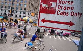 Tras muerte de turista, suspenden paseos en carruajes de caballos en Central Park; defensores de animales piden su abolición