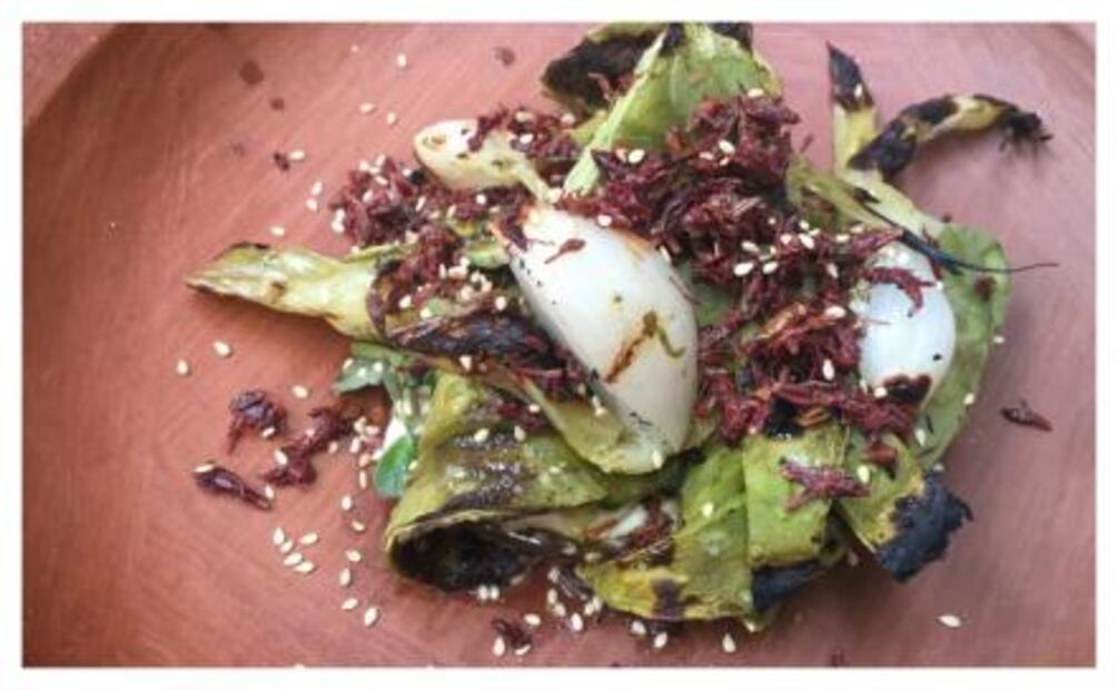 Destellos de Oaxaca en Condesa. ALERTA: Food coma