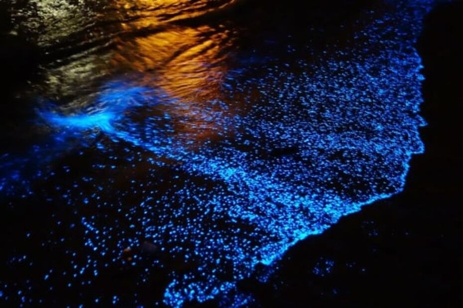 6 playas en México que brillan en la noche