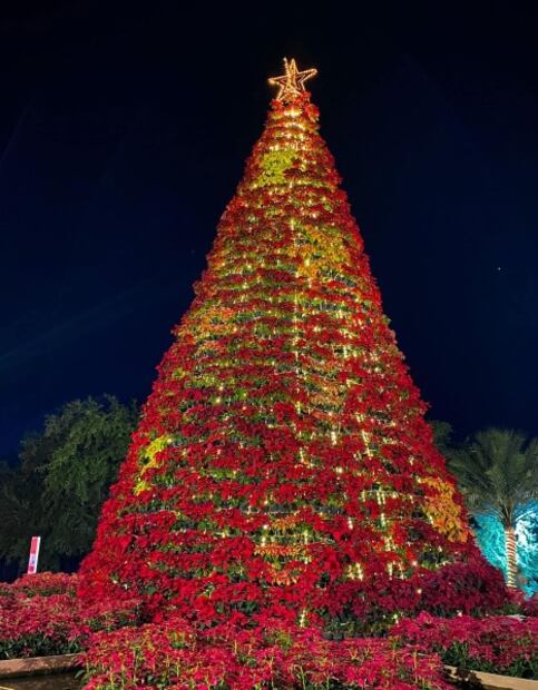 11 actividades y eventos navideños en CDMX y sus alrededores 