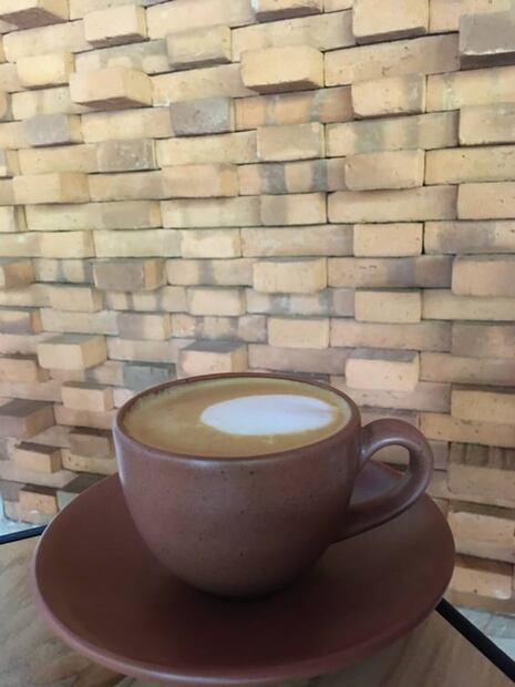 Café colimota, el futuro para las barras de especialidad