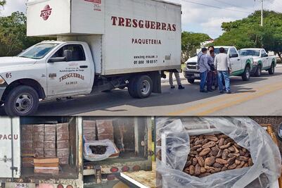 Decomisan 3 toneladas de pepino de mar en Mérida