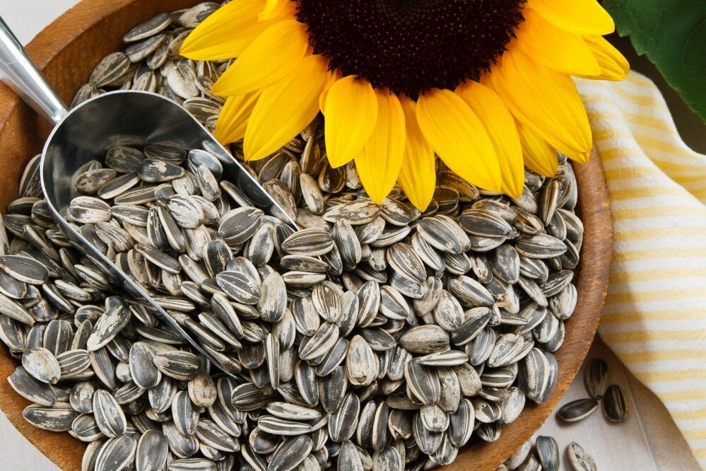 La semillas de girasol tienen un sabor ligeramente dulce. Foto: iStock