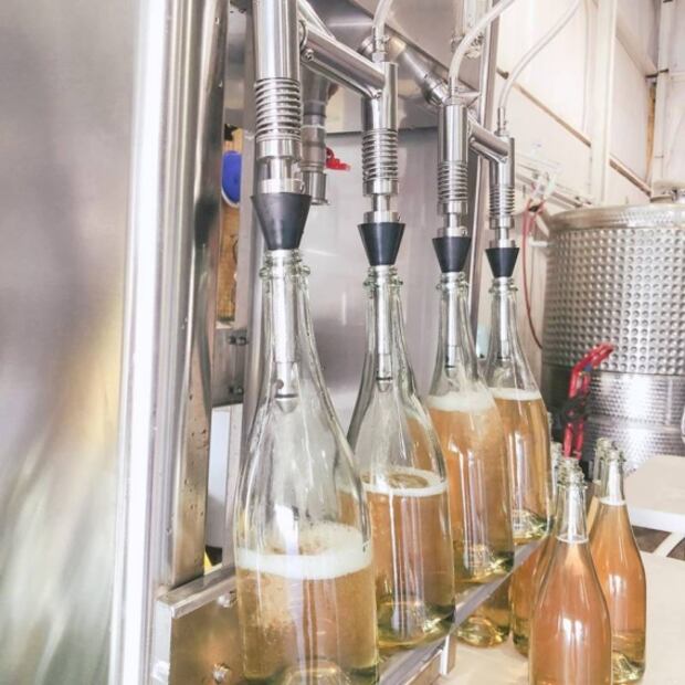 Pouya Wines, un proyecto enológico hecho por mujeres mexicanas