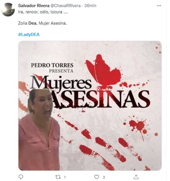 Los mejores memes que dejó #LadyDEA