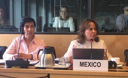 México reconoce que "queda mucho por hacer" para erradicar tortura en el país