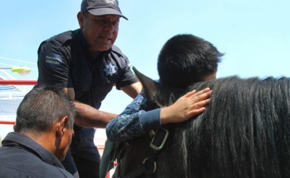 Ofrecen equinoterapia para rehabilitar a menores con discapacidad en Ecatepec