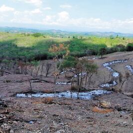 Inician peritaje para determinar magnitud de daños en El Tajín