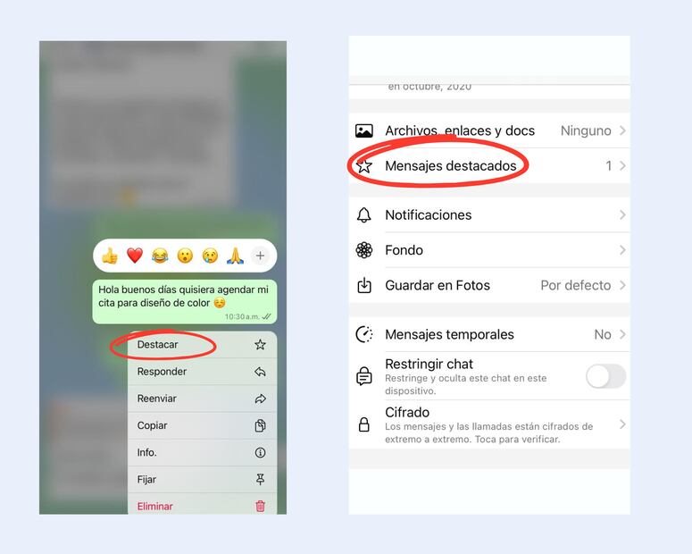 Mensajes destacados en WhatsApp. Foto: Captura de pantalla