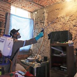 Políticos piden apoyo para combatir dengue