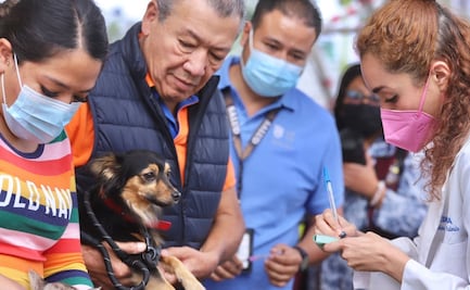 Inicia en CDMX la segunda jornada anual de vacunación masiva contra la rabia para animales de compañía 