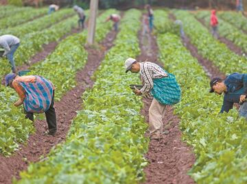 Deportaciones de migrantes ya comienzan a afectar a empresas de EU; reportan bajas en producción
