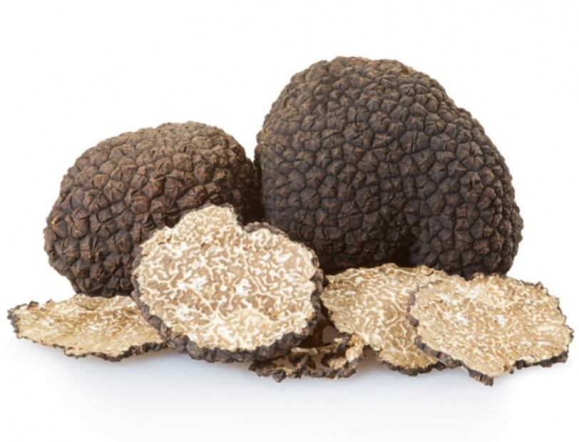 Hongos comestibles que debes de conocer