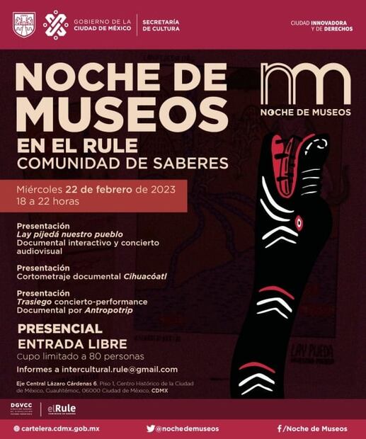 La Noche de Museos de febrero: 13 actividades imperdibles