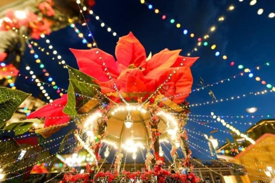 Cuándo es Ilusionante: el Festival de Invierno con video mapping