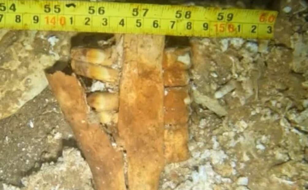 Los restos fueron hallados a una profundidad de entre 17 y 20 metros bajo el agua (22/02/2025). Foto: Especial