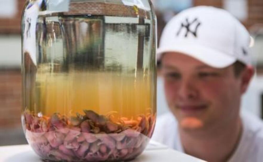 ¿Probarías el estofado de cabeza de cabra? Visita el Museo de la Comida Asquerosa