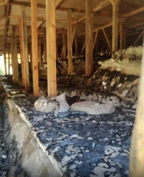 Denuncian daños por incendio en murales de El Tajín