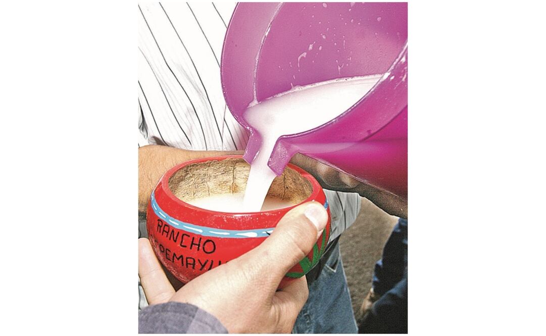 Foto: archivo/EL UNIVERSAL