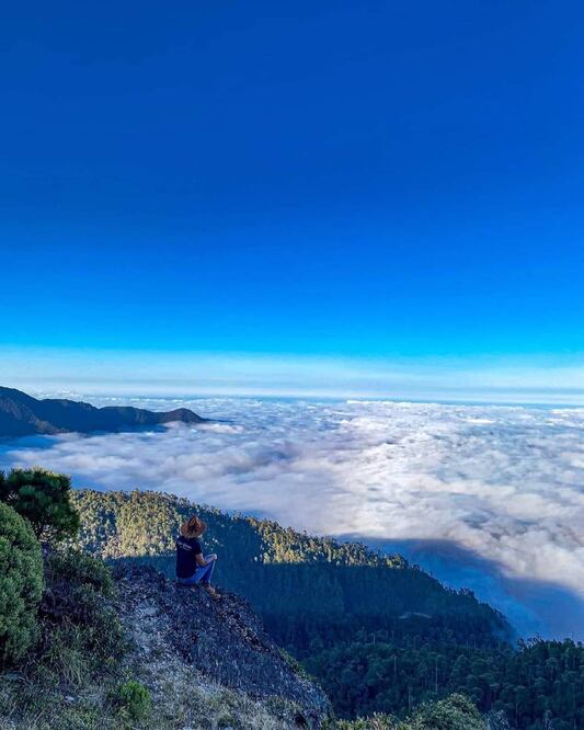 Fotos: cortesía de Enrútate Oaxaca