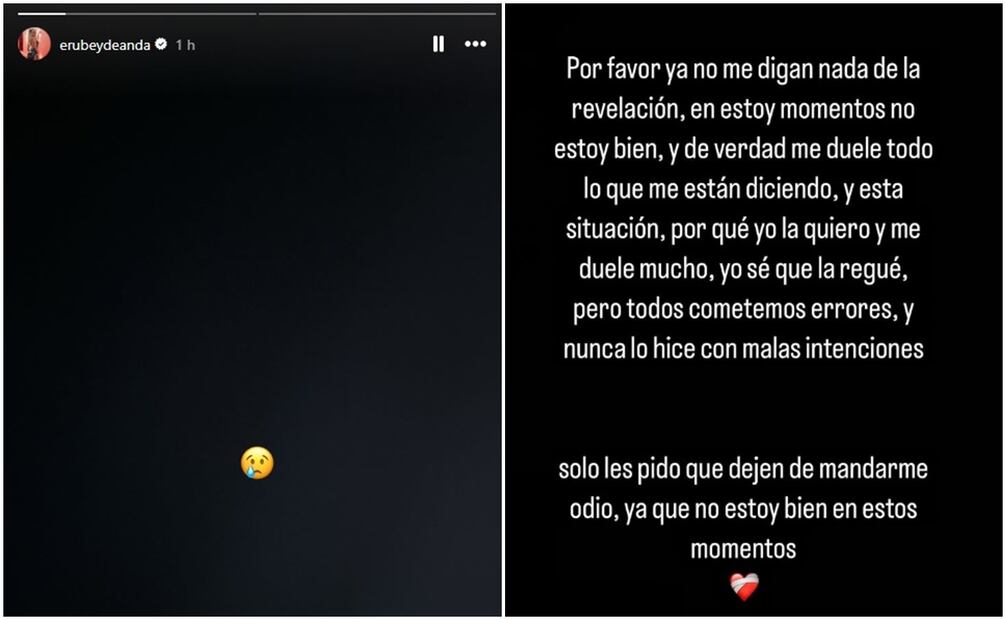 Erubey de Anda confiesa que está afectada por lo que pasó con Lele Pons.