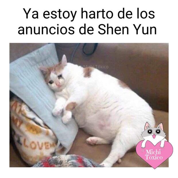 Meme Shen Yun