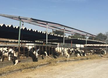 Solicitan incremento en costo del litro de leche en Liconsa