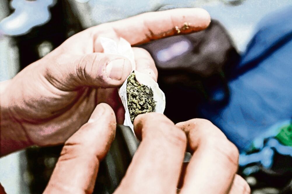Compra autorizada. El plan prevé permitir a los quejosos la adquisición de semillas de marihuana en un establecimiento regulado. (CUA RTOSCURO)