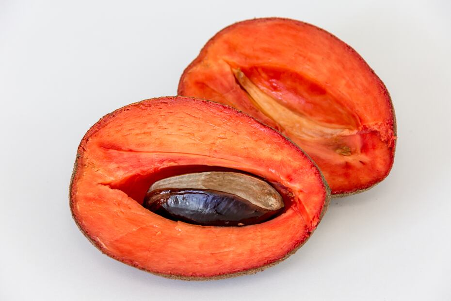 Mamey Colorado tropical fruit