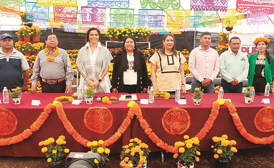 Productores poblanos de flor de cempasúchil esperan ganancias por 75 millones de pesos. Foto: Especial