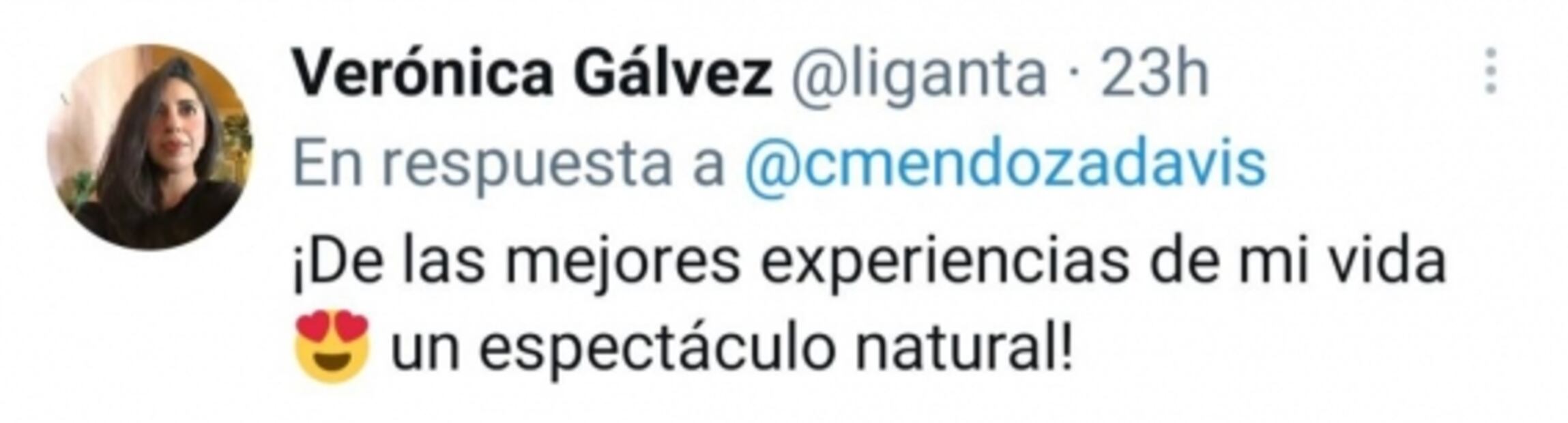 Video. Cinco ballenas se acercan a lancha en la laguna de BCS