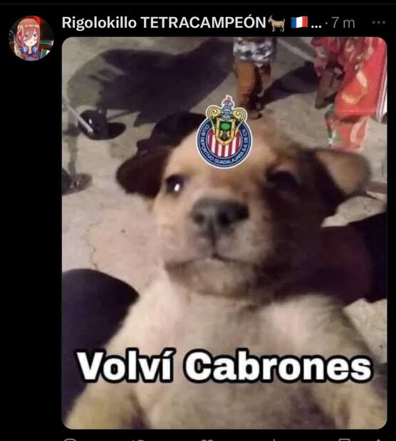 Los MEJORES MEMES de la victoria de Chivas sobre Necaxa