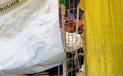 Se registra balacera en el barrio de Tepito