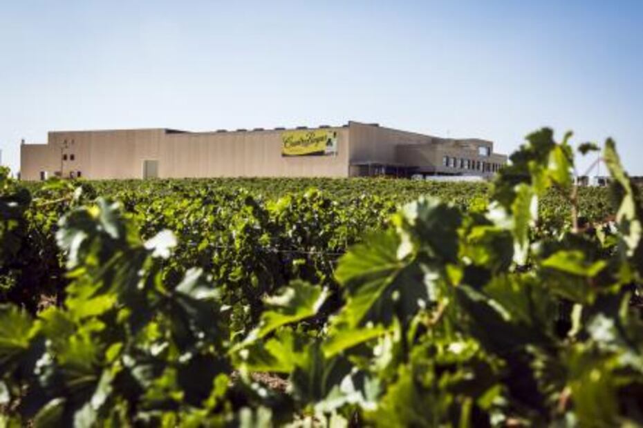 La ruta del Verdejo alrededor del mundo