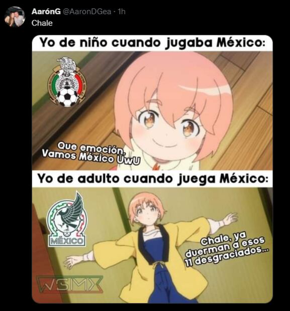 Los memes de la Selección Mexicana