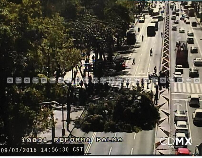 (Foto: @ciudad_segura)