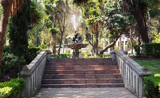 Tabe descarta privatización del Parque Lira por experiencia inmersiva en la zona; asegura que todo está en regla