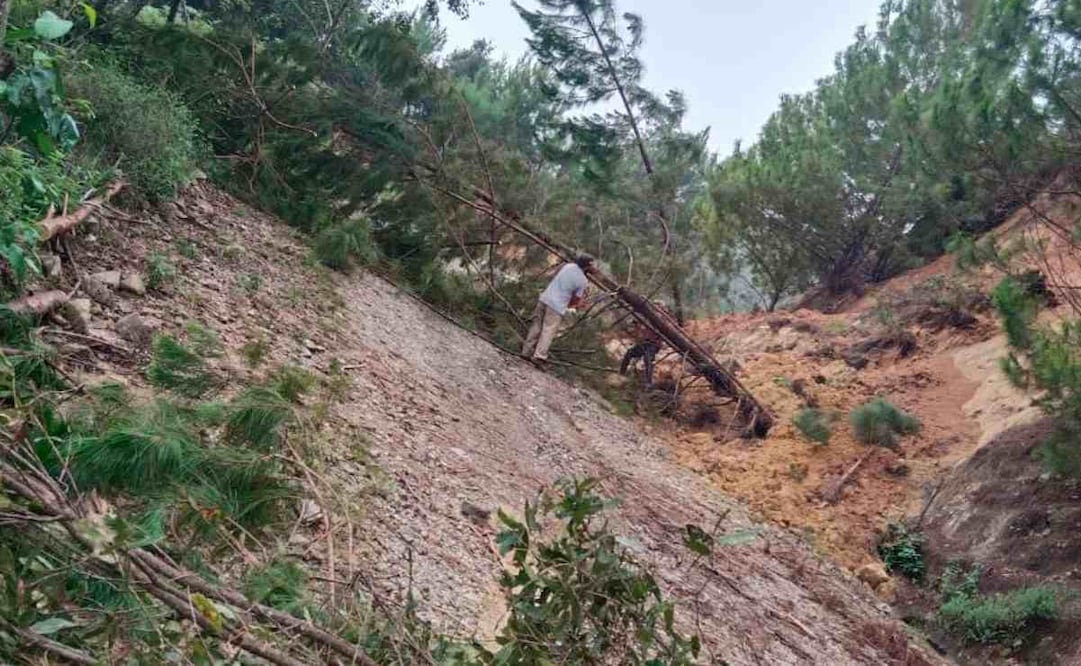 Por las constantes lluvias de este 23 de septiembre de 2024, algunas comunidades de la Sierra Sur también se han visto severamente afectados sus caminos y la carretera principal 125, que va de la Mixteca a la Costa. Foto: Especial