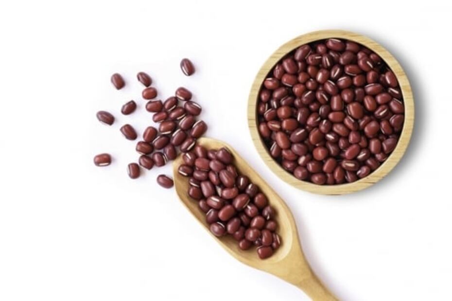 ¿Cuál es mejor? Proteína animal vs. vegetal