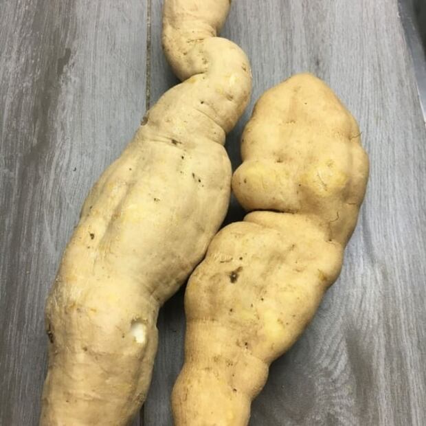 ¿Qué es el chinchayote y cómo se cocina?