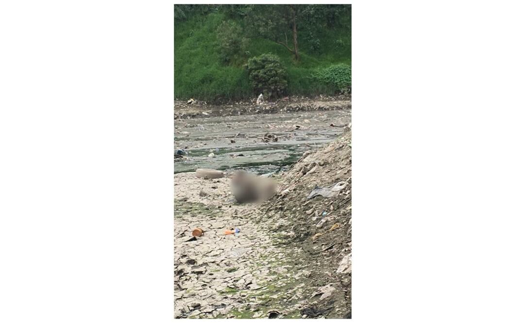 Los equipos de emergencia sacaron el cuerpo poco después del mediodía. Foto: Especial