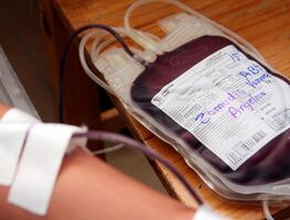 ¿Vas a donar sangre para un familiar o amigo?; aquí el paso a paso para agendar tu cita en el Banco de Sangre