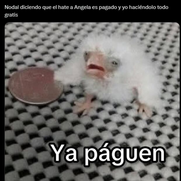 Foto: Vía X.