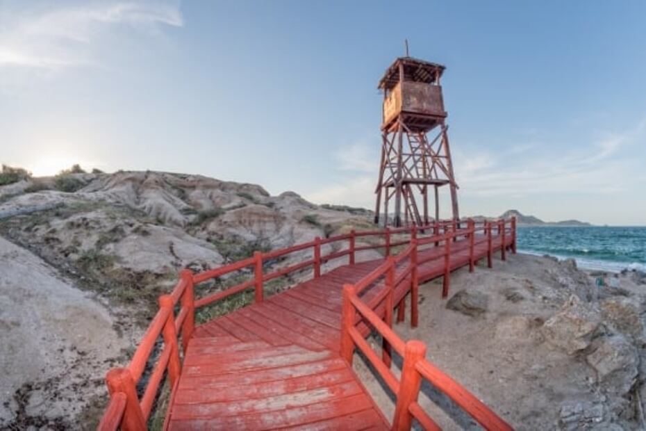 Cabo Pulmo: cómo llegar al paraíso del buceo y de las playas desconocidas en México 