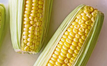 Plasma: The future of food production in Mexico