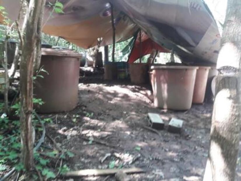 Asegura la Marina cuatro narcolaboratorios con mil 400 litros de droga en Sinaloa