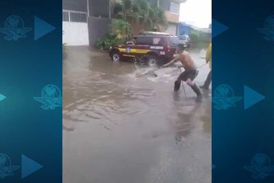Capturan a cocodrilos en calles de Michoacán