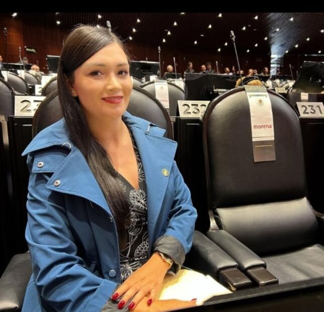 Ella es la diputada de Morena que busca elevar multas por injurias al Presidente; fue detenida en 2015