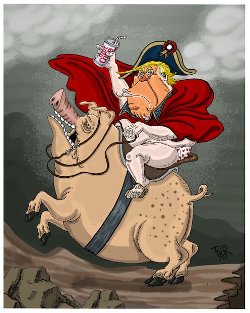 Cartón de FER